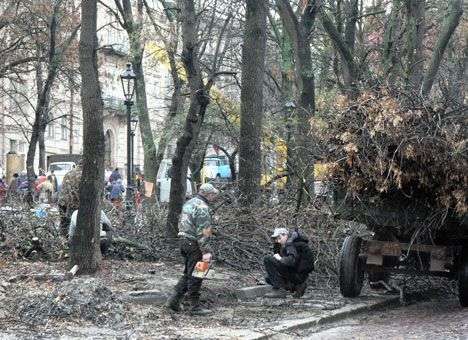 На Львовщине буря сносила крыши и валила деревья