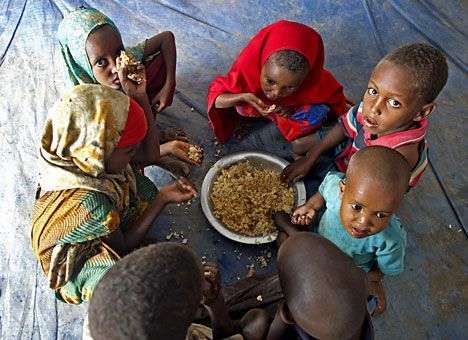 Сегодня отмечается Всемирный день беженцев