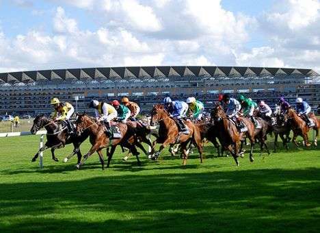 Скачки Royal Ascot впервые выиграла королевская лошадь