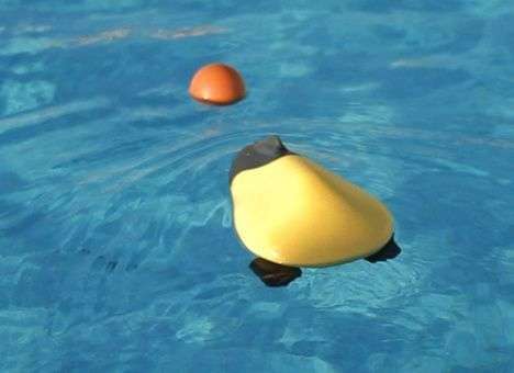 Разработан водоплавающий робот с дистанционным управлением