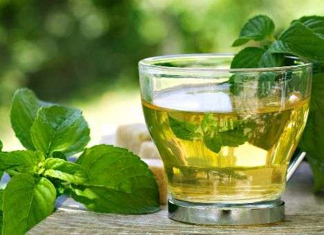 Мятный чай поможет похудеть