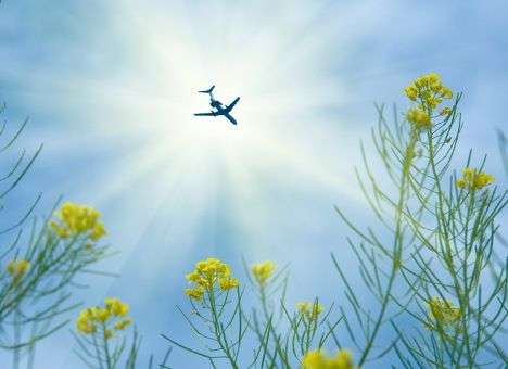 Самолет на солнечных батареях завершил перелет через США