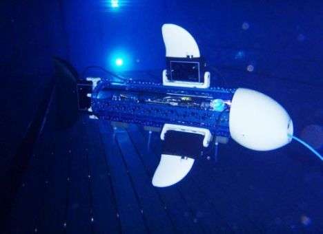 Ученые используют роборыб для образования