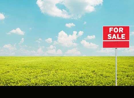 Украина с миллионом гектаров земли вошла в ТОП-10 продавцов мира