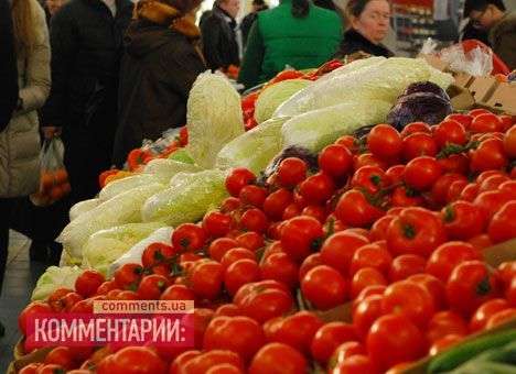 Прохладная погода подпортит урожай картошки, помидоров и арбузов