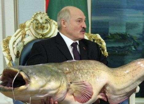 Путину и Лукашенко устроили в сети «рыбный троллинг» (ФОТО)