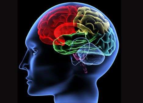 Человеческий мозг оказался мощнее суперкомпьютера