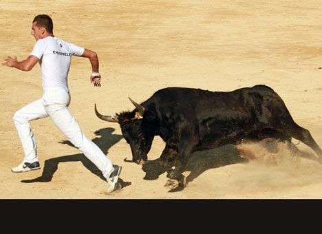 В США пройдут забеги с быками