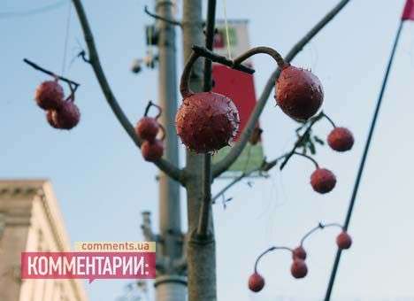 Под окнами у Попова каштаны «зацвели» презервативами и красными плодами (ФОТО)