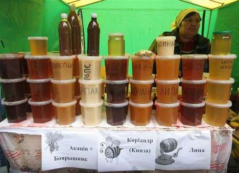 Украина попала в пятерку самых «медовых» стран мира