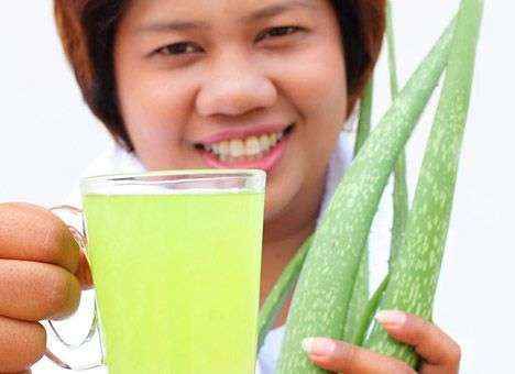 Сок алоэ лечит гастрит и бронхиальную астму