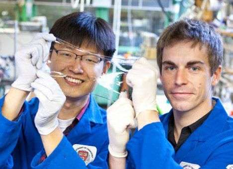 Ученые изобрели прозрачные гибкие динамики