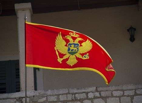 Черногория поддержала США по Сирии