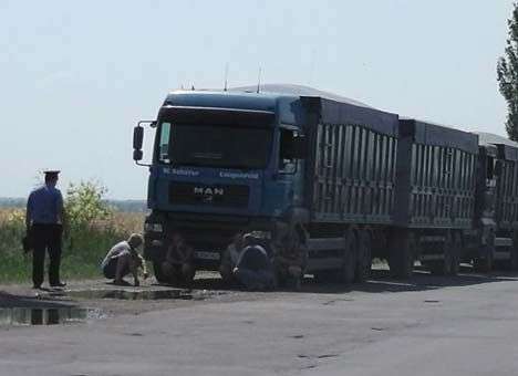 На Николаевщине описывают урожай агрофирмы оппозиционера
