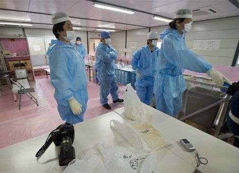 Уровень трития в грунтовых водах «Фукусимы» вырос в 23 раза