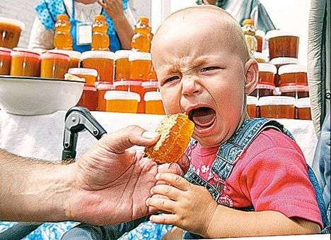 Украинские пчеловоды накормят Европу