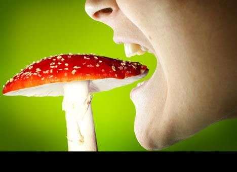 Тихая охота: как уберечь себя от больничной койки