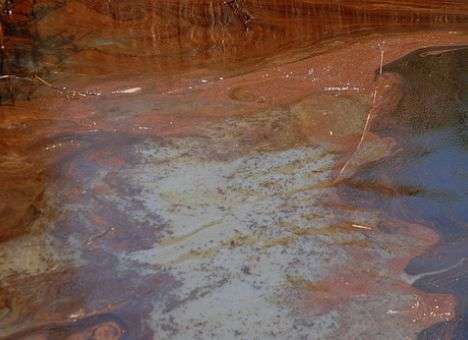 В США разлилось около 20 тыс баррелей нефти