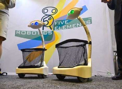 Американцы создали робота-носильщика покупок