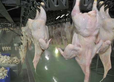 Россия закрыла границу для украинской говядины и курятины