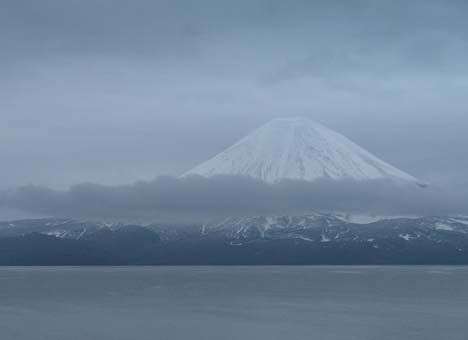 На территории заповедника на Камчатке произошло землетрясение