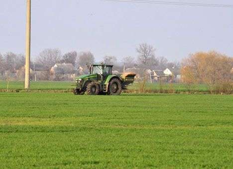 Треть посевов пшеницы могут пострадать из-за аномального ноября