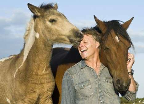 Власть поменяла «проблемных коней»