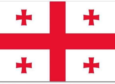 Решение Украины не повлияет на евроинтеграционный курс Тбилиси - МИД Грузии