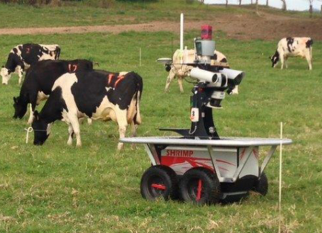 В Австралии робота научили пасти коров