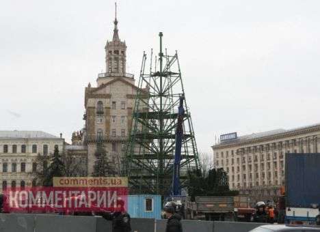 Попов поставит другую елку там, куда укажут киевляне