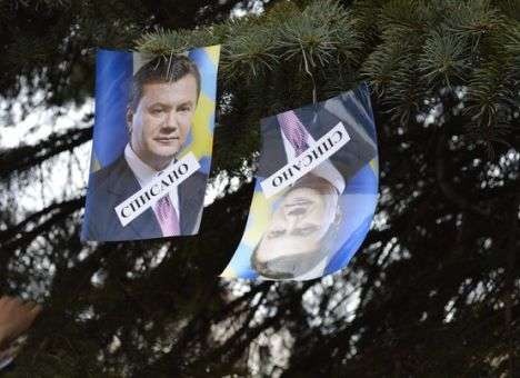 Ивано-Франковские елки обвешали портретами Президента (ФОТО)