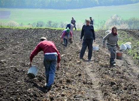 Экономические реформы Украине нужны и с ЕС, и с ТС, - FP