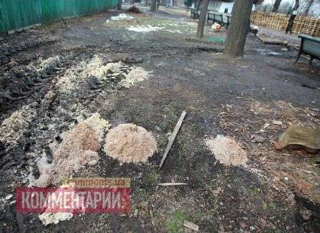 Состояние Мариинского парка после митинга тянет на криминал, - экологи