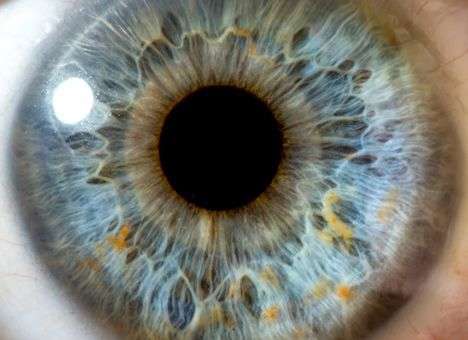 Разработан способ идентификации человека по его отражению в чужих глазах