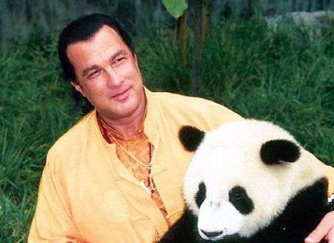 Актер Стивен Сигал идет в губернаторы