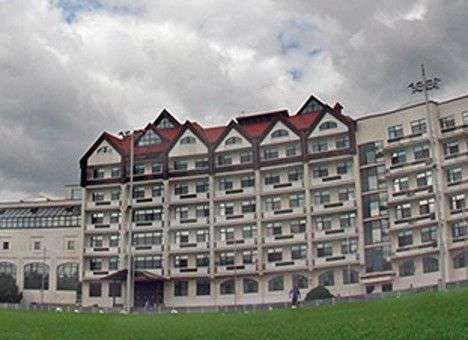 «Динамо» определилось с планом подготовки на первом сборе