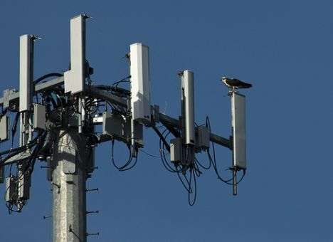 Оживит ли телеком-рынок технологическая нейтральность?