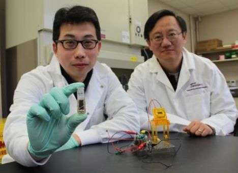 Создана сверхемкая батарейка на основе сахара