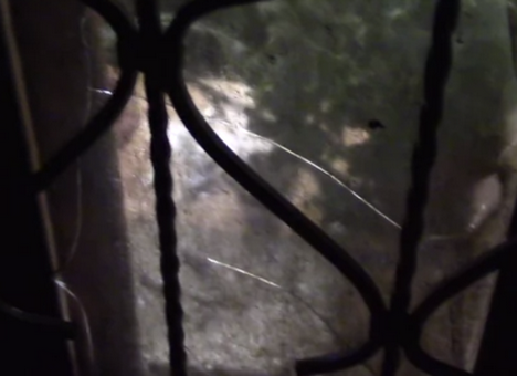 В Харькове бросили «коктейль Молотова» в типографию, сотрудничавшую с Евромайданом (ВИДЕО)