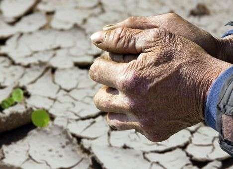 В Калифорнии из-за засухи 25 млн человек остались без воды