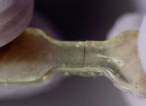 Американцы изобрели самовосстанавливающийся полимер (ВИДЕО)