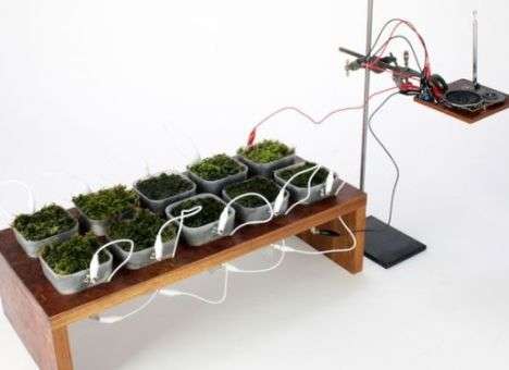 Создано радио, которое работает от энергии фотосинтеза