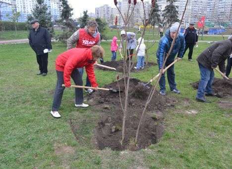 Киевляне пожаловались УДАРу на МАФы