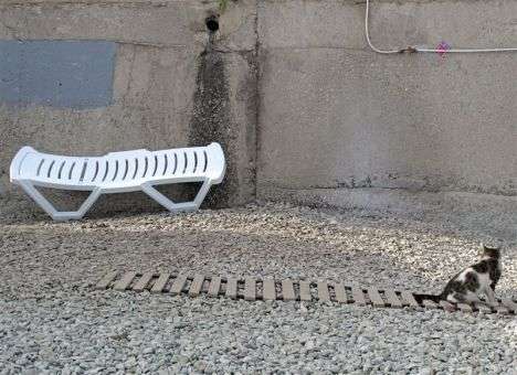 У российских банкиров желание отдыхать в Крыму простимулируют рублями