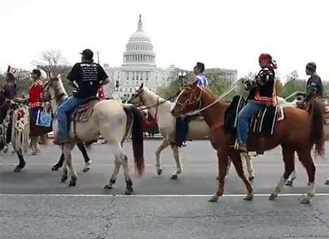 Индейцы пригнали табун лошадей и разбили лагерь в центре Вашингтона (ВИДЕО)