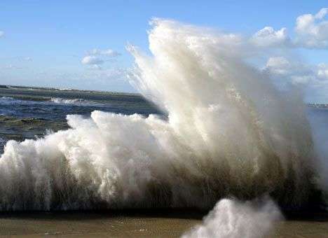 Ни рыба ни мясо