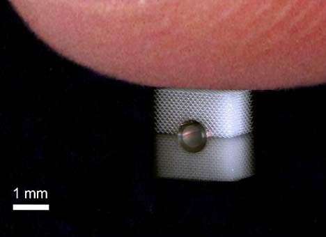 Ученые из Германии создали материал, способный блокировать осязание человека (ФОТО)