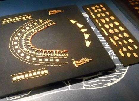 Выставка скифского золота остается в Нидерландах из-за интереса зрителей – Минкульт