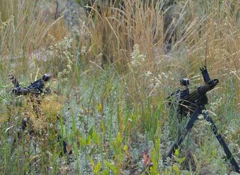 В России опять заявили об обстреле со стороны Украины и закрыли два КПП