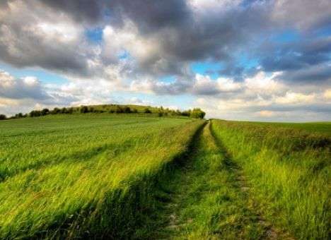 Между болью и свободой